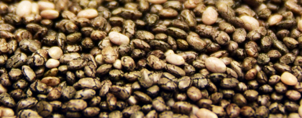 Chia-Samen